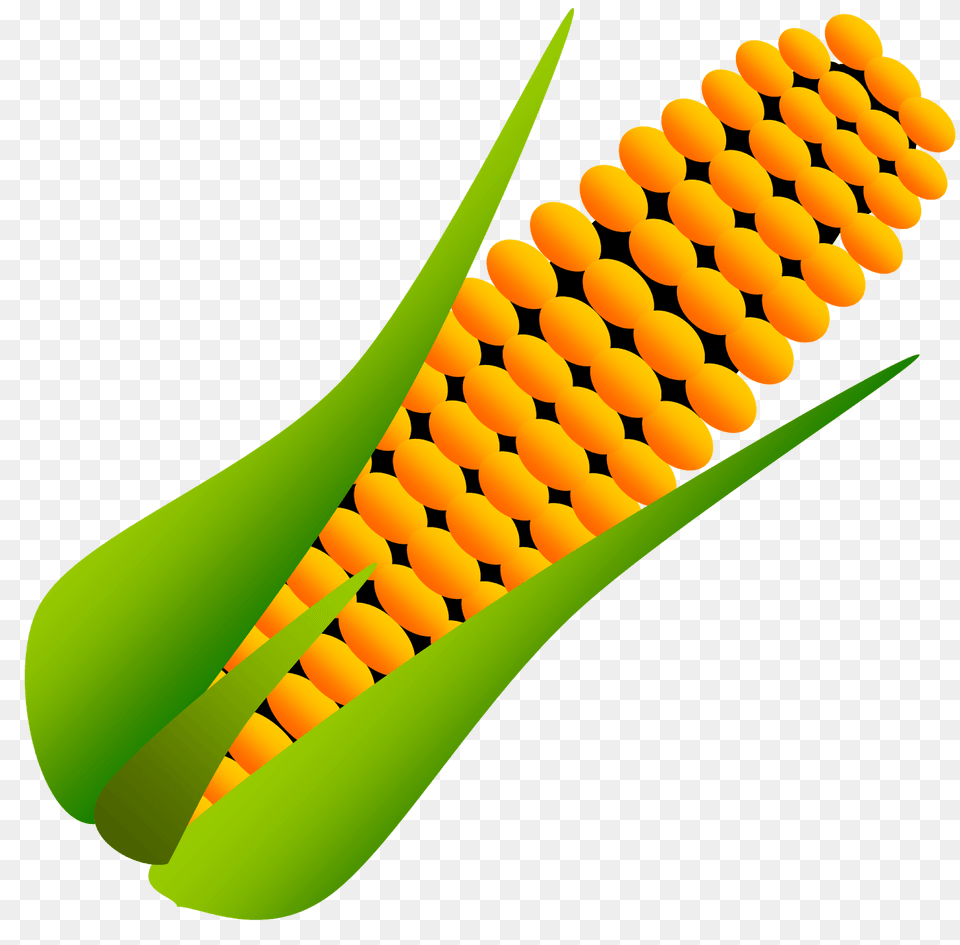 Corn Clipart, Food, Grain, Plant, Produce Png