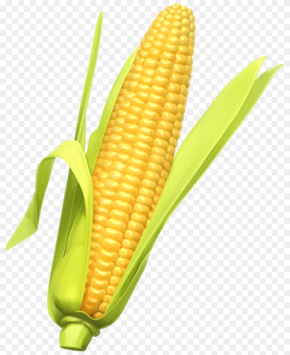 Corn Clipart, Food, Grain, Plant, Produce Png Image