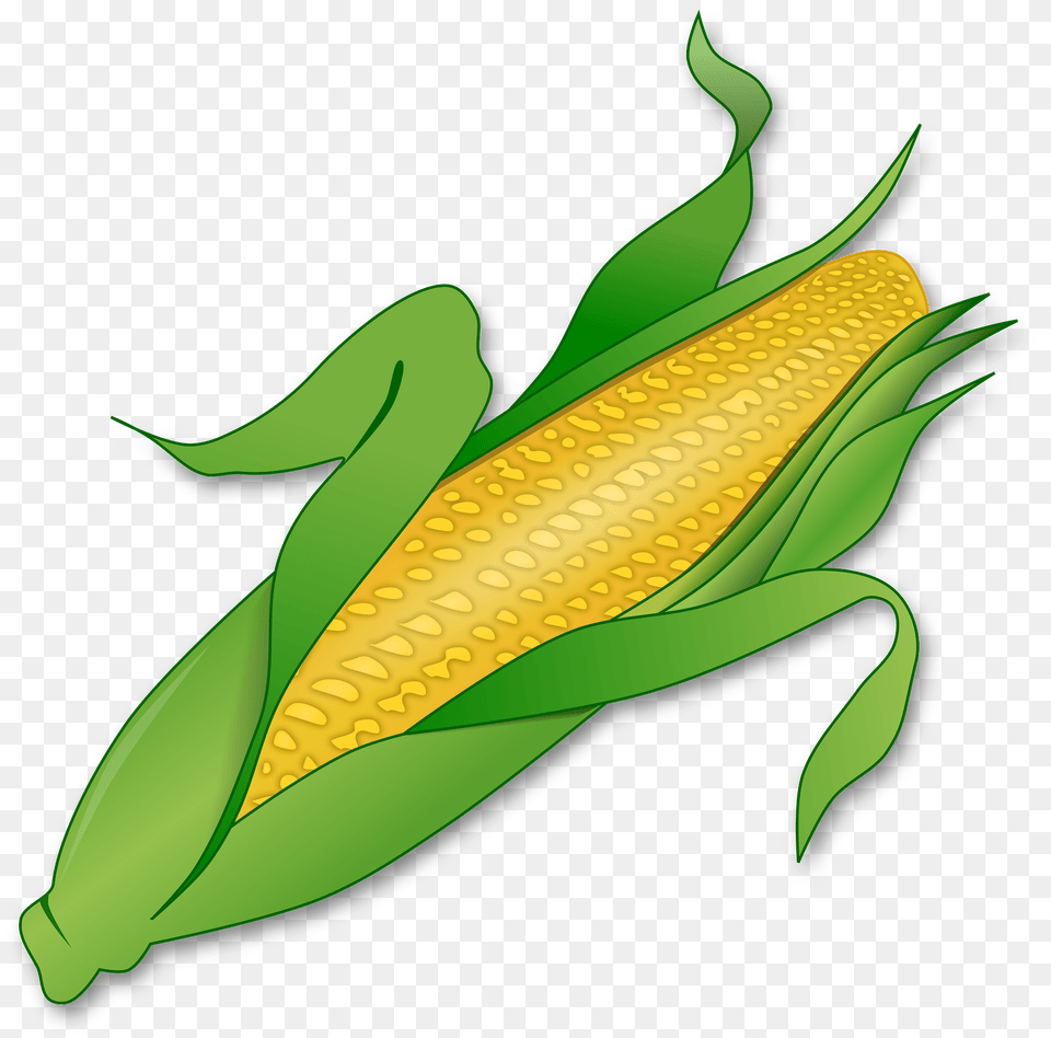 Corn Clipart, Food, Grain, Plant, Produce Free Transparent Png