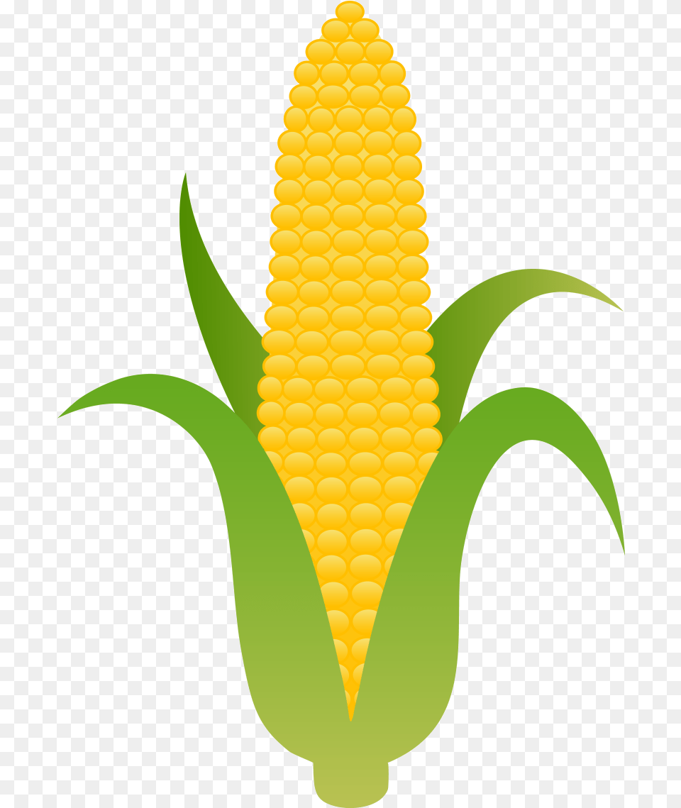 Corn Clipart Aztec Clip Art Of Corn Clipart, Food, Grain, Plant, Produce Free Transparent Png