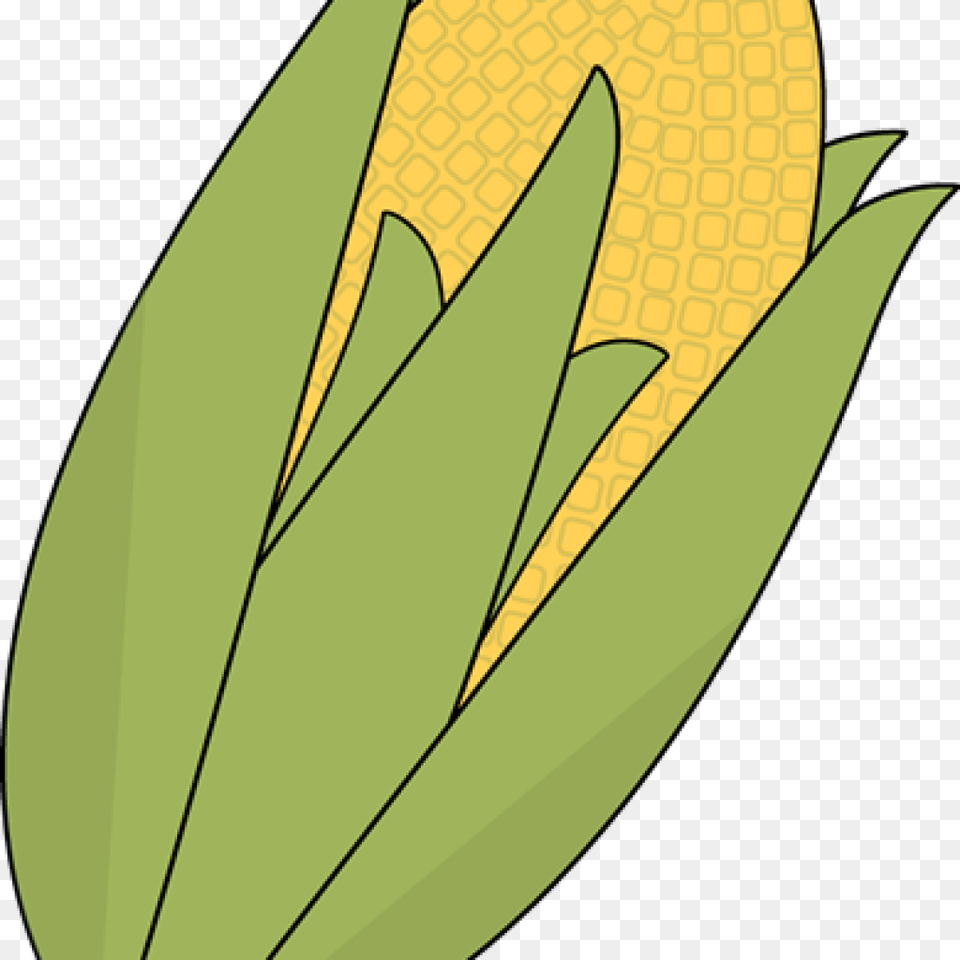 Corn Clipart Clipart Download, Food, Grain, Leaf, Plant Free Transparent Png