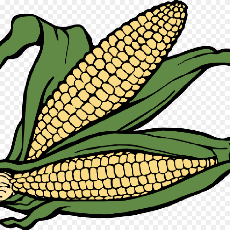 Corn Clipart Clipart Download, Produce, Food, Grain, Plant Free Transparent Png