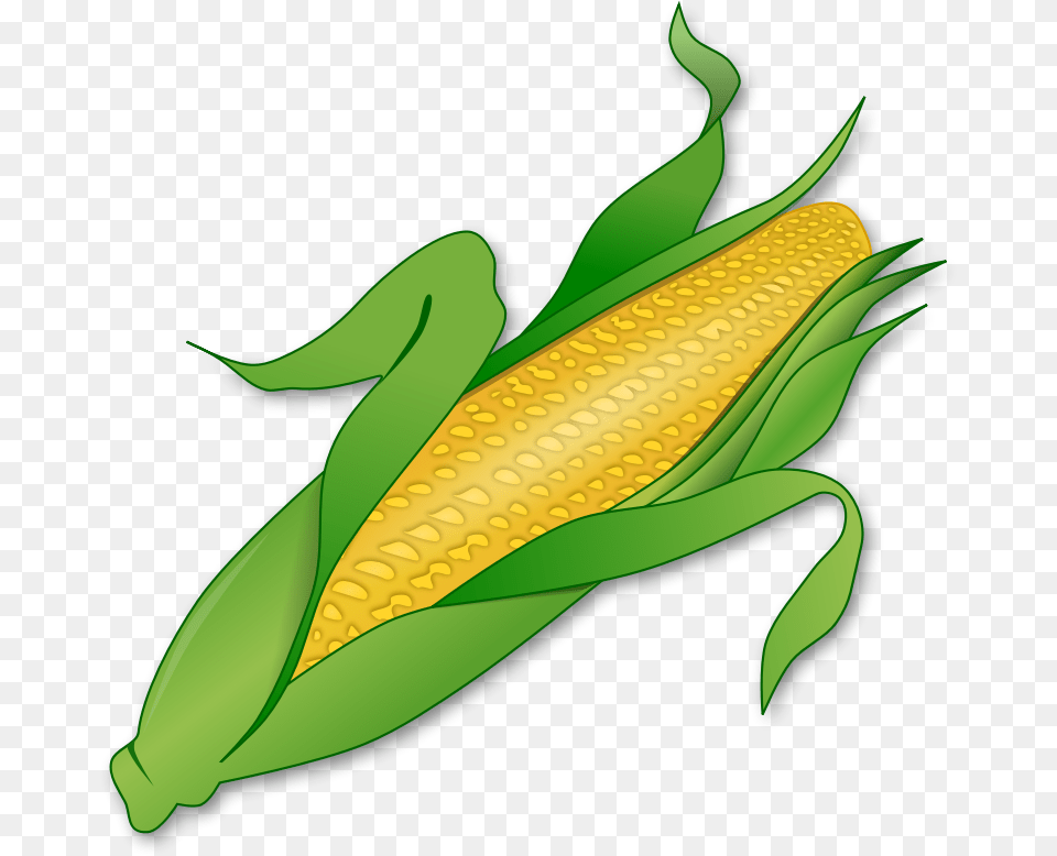 Corn Clipart Cob Corn Clipart Background, Food, Grain, Plant, Produce Free Transparent Png