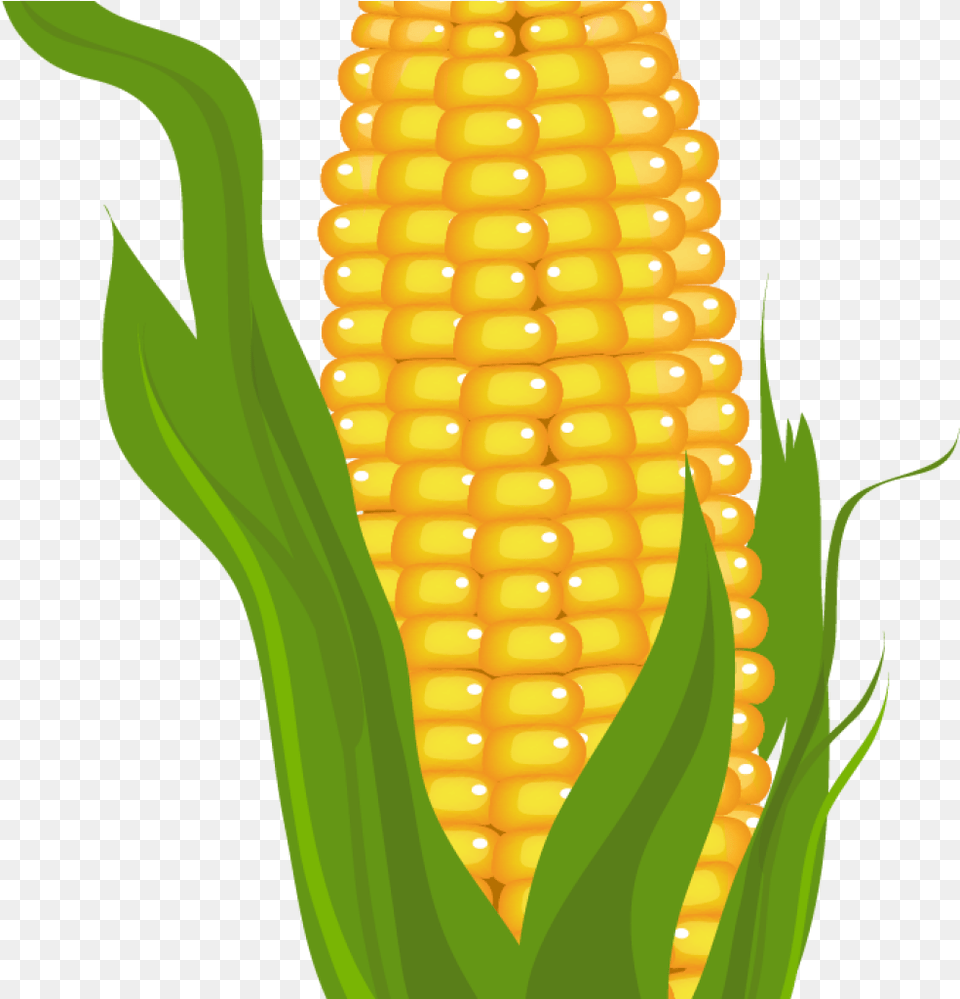 Corn Clipart Corn Clipart Corn Clipart Prints Clip Art Of Corn, Food, Grain, Plant, Produce Free Transparent Png
