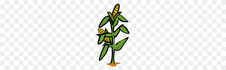 Corn Clipart Feild, Food, Grain, Plant, Produce Free Png Download