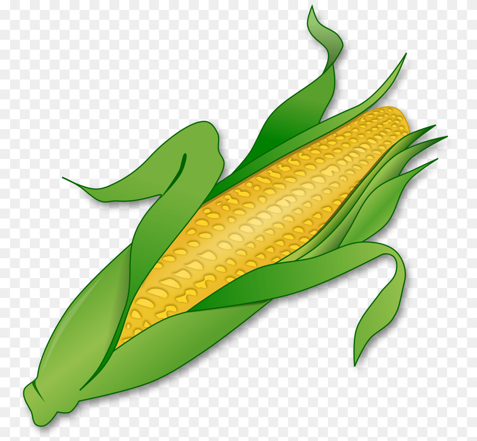 Corn Clipart For Web Design Clipart, Food, Grain, Plant, Produce Free Png Download