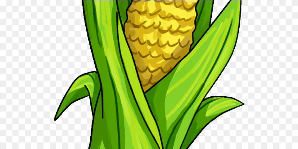 Corn Clipart Husking Corn Animated, Food, Grain, Plant, Produce Png