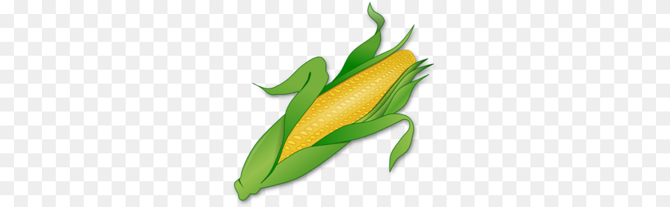 Corn Clipart Pictures, Food, Grain, Plant, Produce Free Png Download