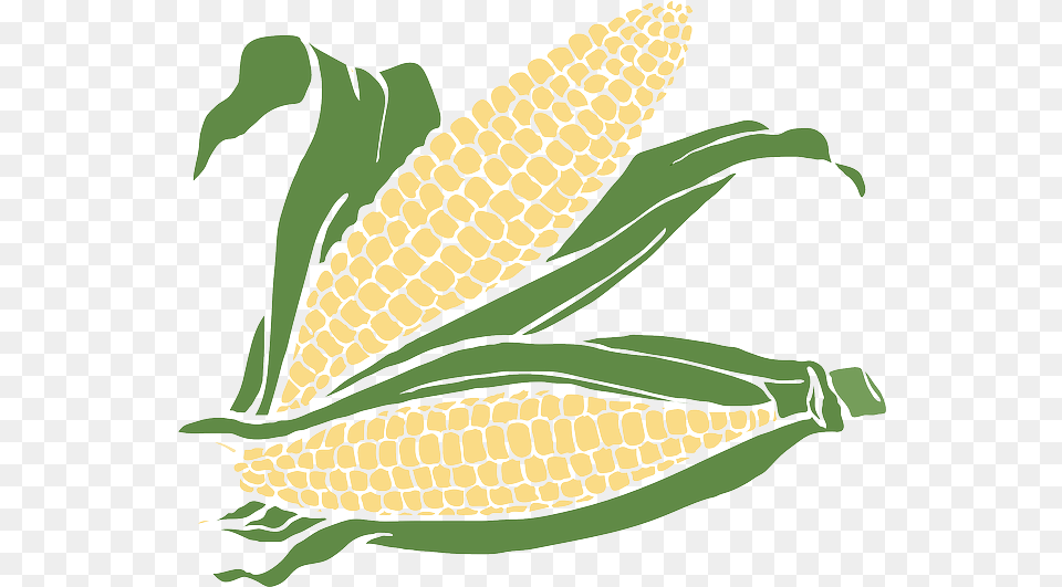 Corn Clipart Background Corn Vector, Food, Grain, Plant, Produce Free Transparent Png
