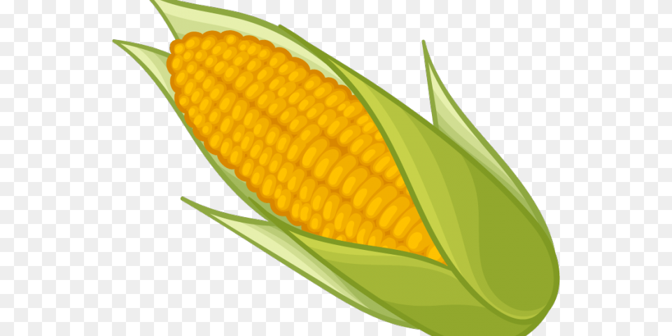Corn Clipart Yellow Item Transparent Background Corn Clipart, Food, Grain, Plant, Produce Png Image