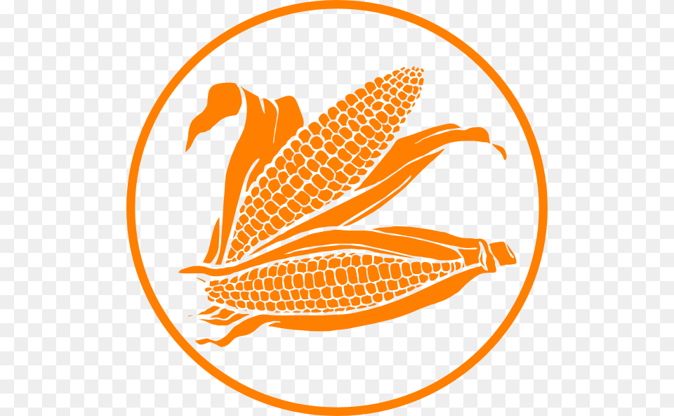 Corn Cob Clipart Black And White, Food, Grain, Plant, Produce Png Image