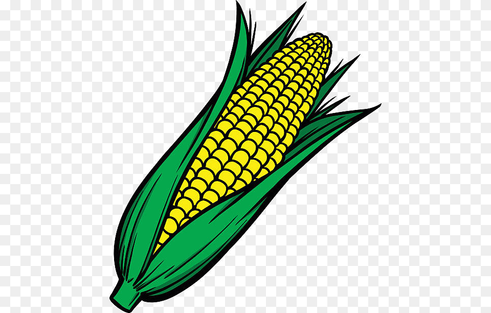 Corn Cob Clipart Transparent Clip Art Corn Cob, Food, Grain, Plant, Produce Free Png Download