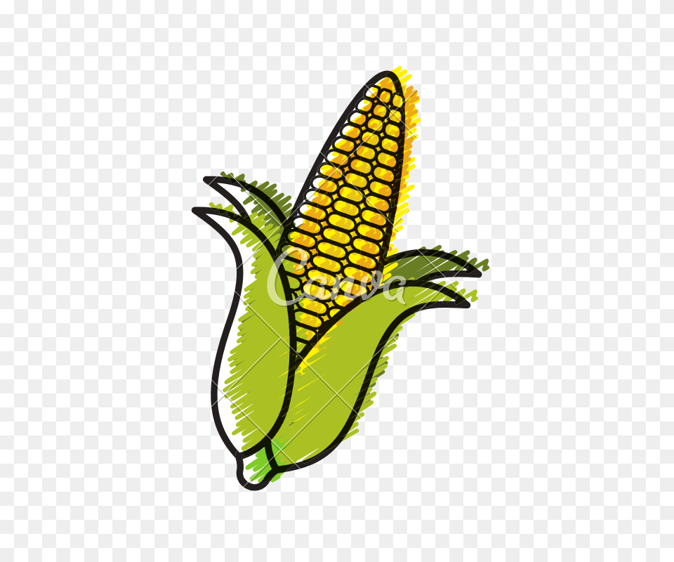 Corn Cob Doodle, Food, Grain, Plant, Produce Free Png
