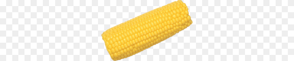 Corn Cob Image, Food, Grain, Plant, Produce Png