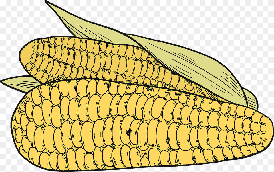 Corn Cobs Clipart, Food, Grain, Plant, Produce Free Png Download