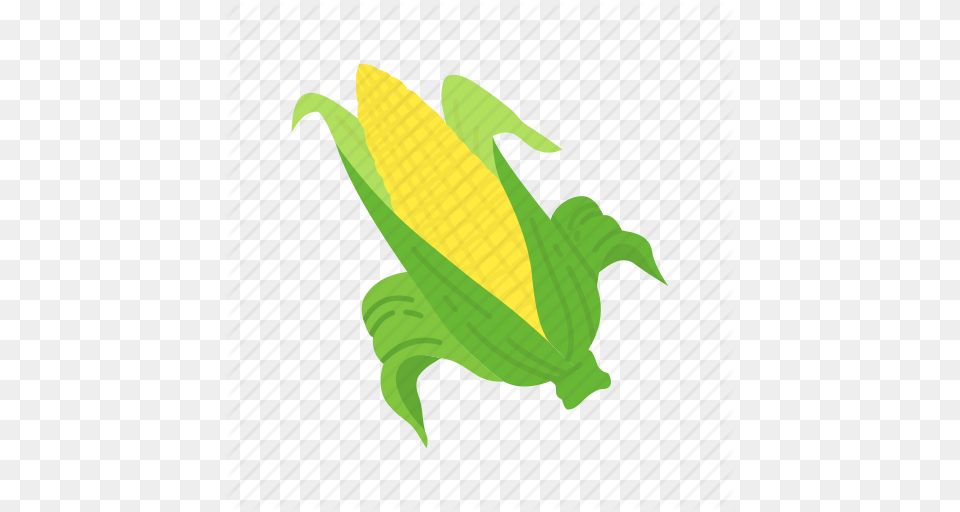 Corn Corn Cob Corn Stalk Wild Corn Icon, Leaf, Plant, Animal, Food Free Transparent Png