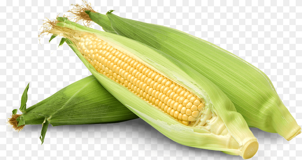 Corn Corn Corn Kernels, Food, Grain, Plant, Produce Free Transparent Png