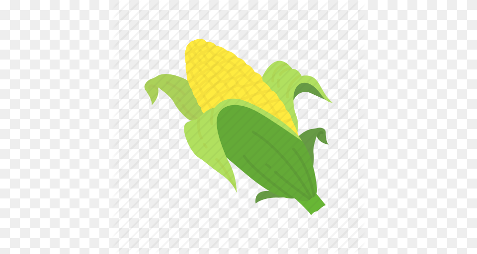Corn Corn Husk Corn On The Cob Thanksgiving Icon, Food, Grain, Plant, Produce Free Png Download
