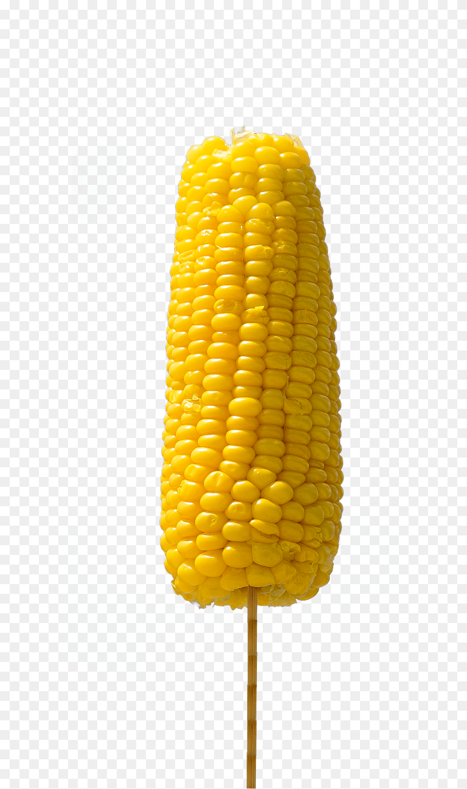Corn Corn Kernels, Food, Grain, Plant, Produce Free Transparent Png