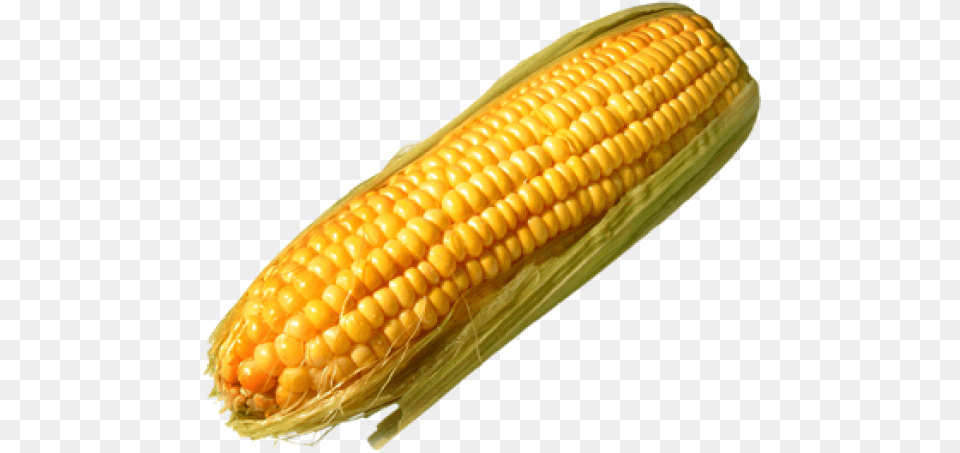 Corn Corn On The Cob Background, Food, Grain, Plant, Produce Free Transparent Png