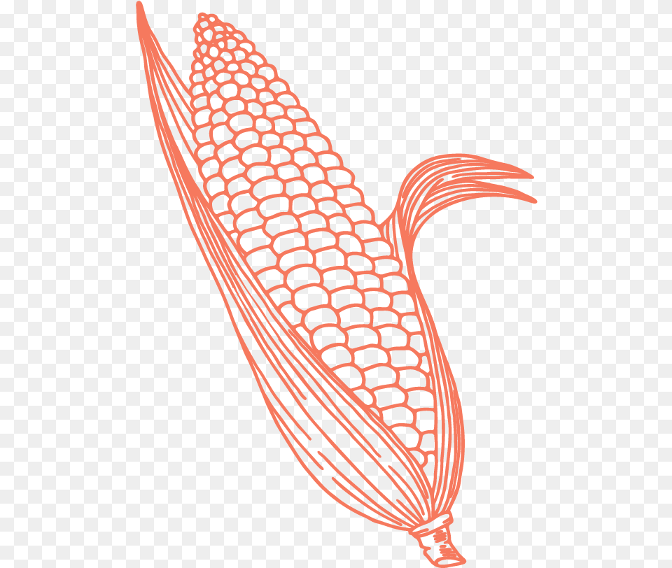 Corn Corn Vector Pattern, Food, Grain, Produce, Art Free Transparent Png