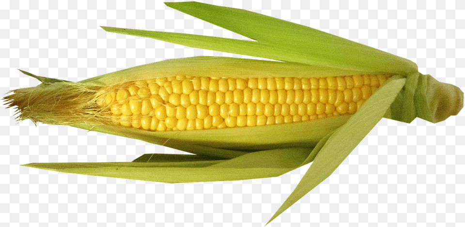 Corn Cut Out, Food, Grain, Plant, Produce Free Png Download