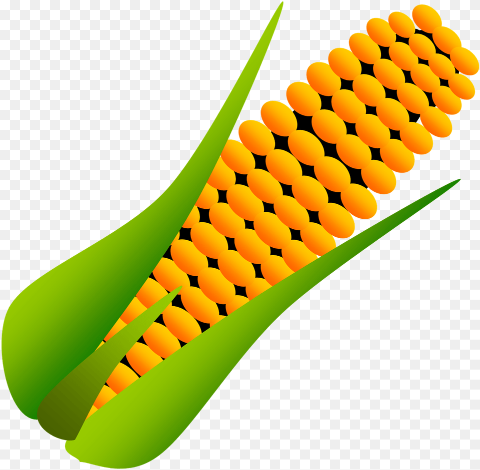 Corn Dessin, Food, Grain, Plant, Produce Png Image