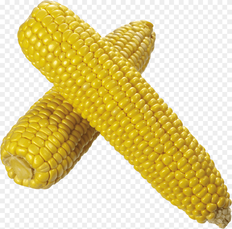 Corn Duo, Food, Grain, Plant, Produce Png Image