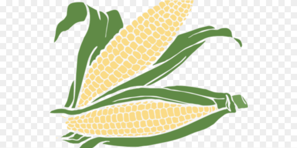 Corn Ear Of Clipart Maize Cliparts Cartoons Transparent Corn Maze Transparent Background, Food, Grain, Plant, Produce Free Png Download