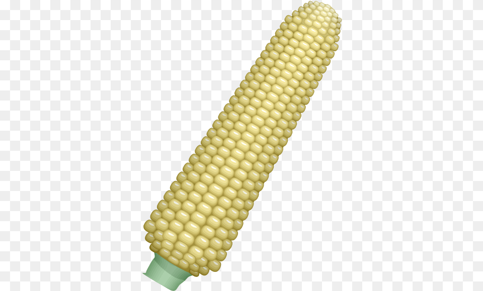 Corn Ear Of Corn Clipart, Food, Grain, Plant, Produce Png