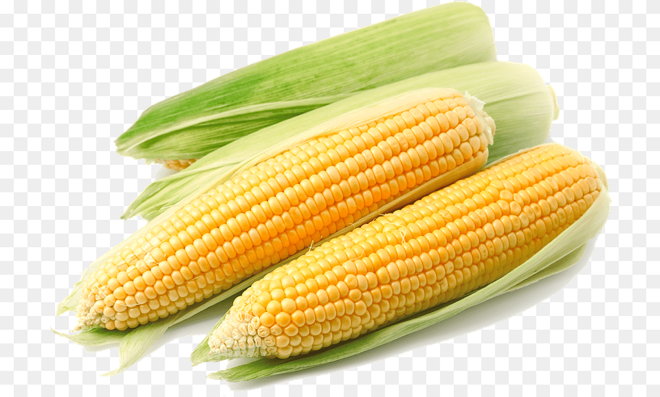 Corn File Corn Transparent, Food, Grain, Plant, Produce Free Png Download