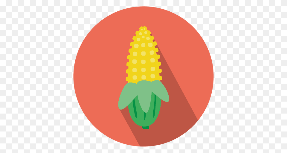 Corn Flat Circle Icon, Food, Grain, Plant, Produce Free Png