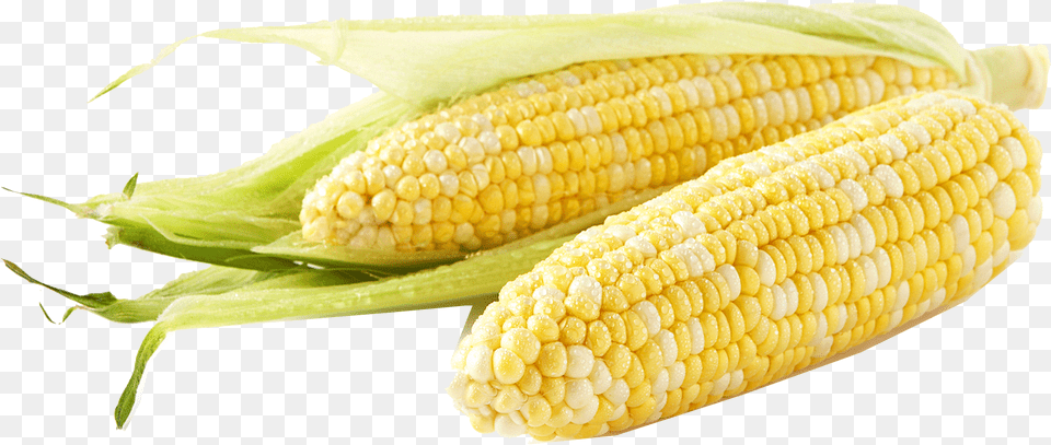 Corn Free Download Meijer Corn, Food, Grain, Plant, Produce Png Image