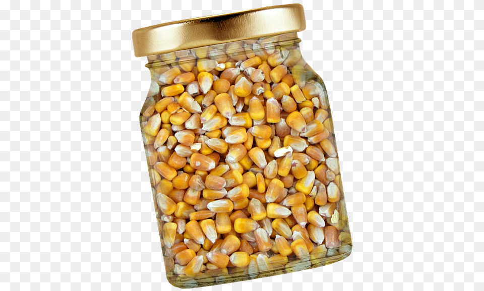 Corn Glass Lid Corn Kernels Isolated Exemption Shelled Corn, Food, Produce, Grain, Plant Free Transparent Png