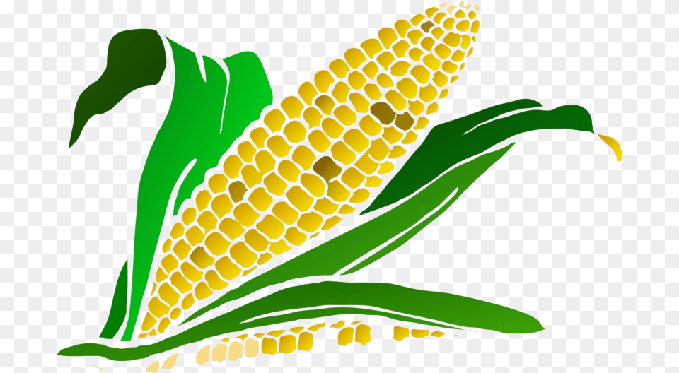 Corn Gradient Clip Art Clipart Transparent Corn Maze Clip Art, Food, Grain, Plant, Produce Png
