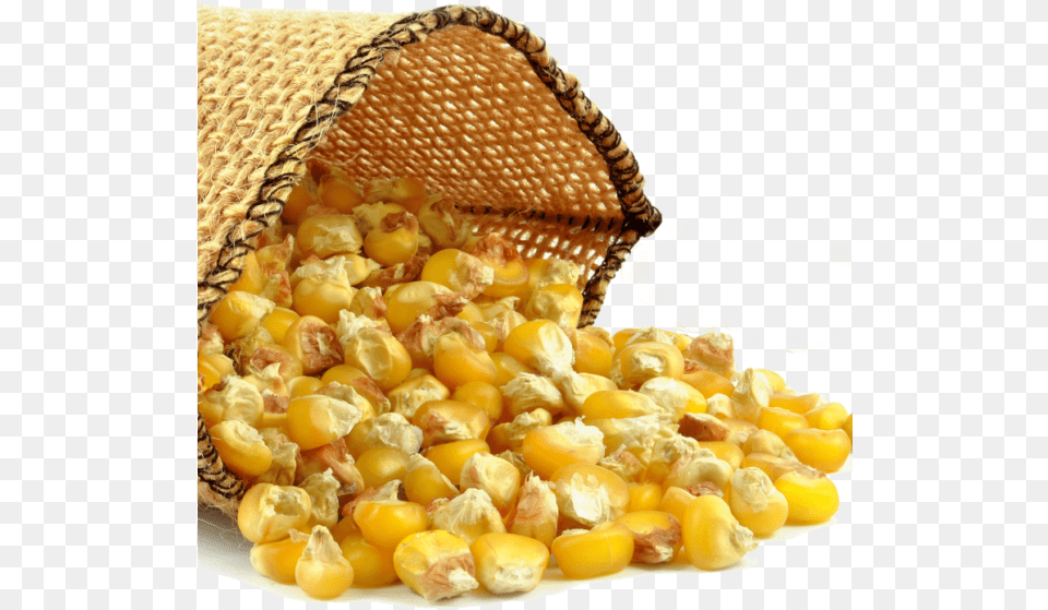 Corn Grits Corn Oil, Food, Produce, Grain, Plant Png Image