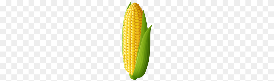 Corn Image, Food, Grain, Plant, Produce Free Png Download