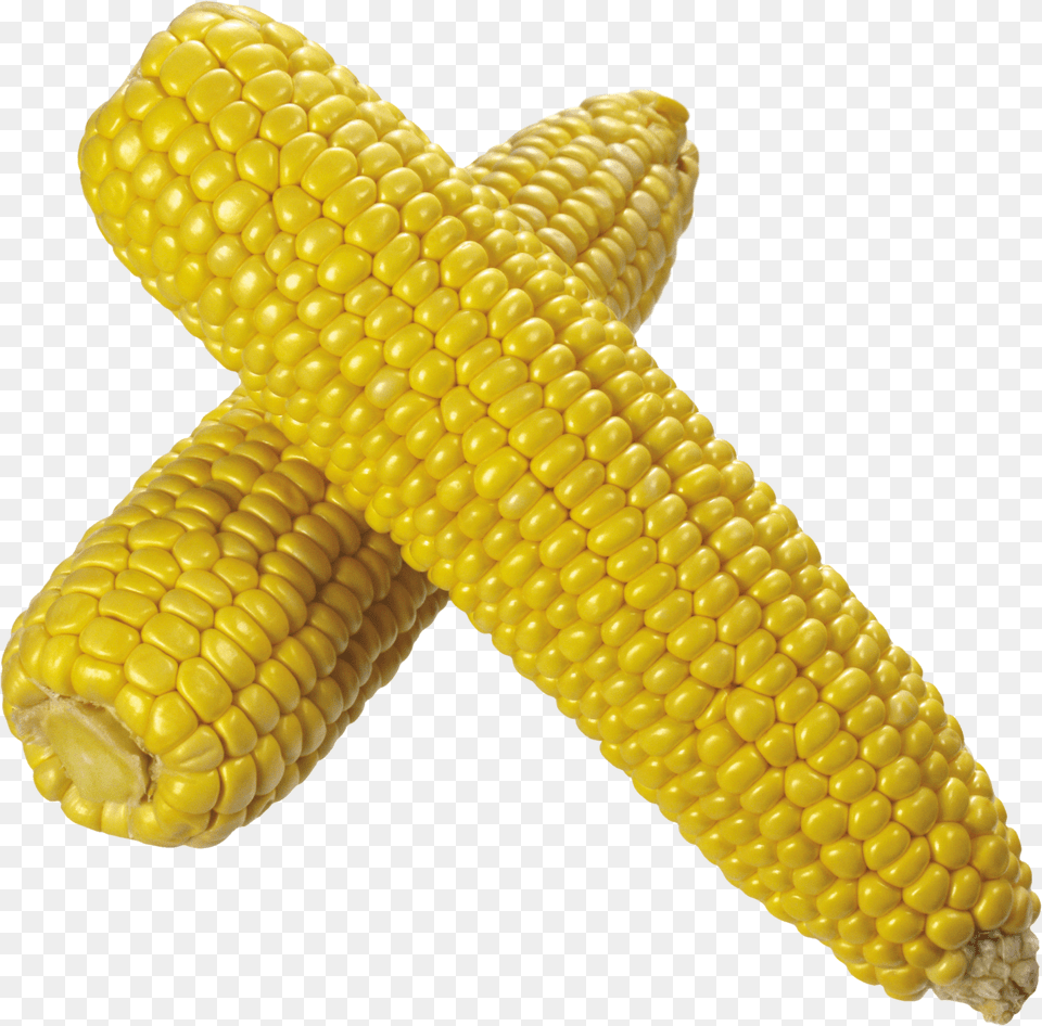 Corn Image Corn Transparent Background Free Png