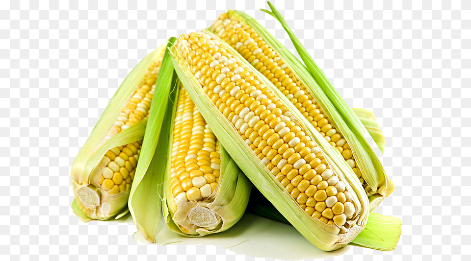 Corn Image Epie De Bl D Inde, Food, Grain, Plant, Produce Free Png Download