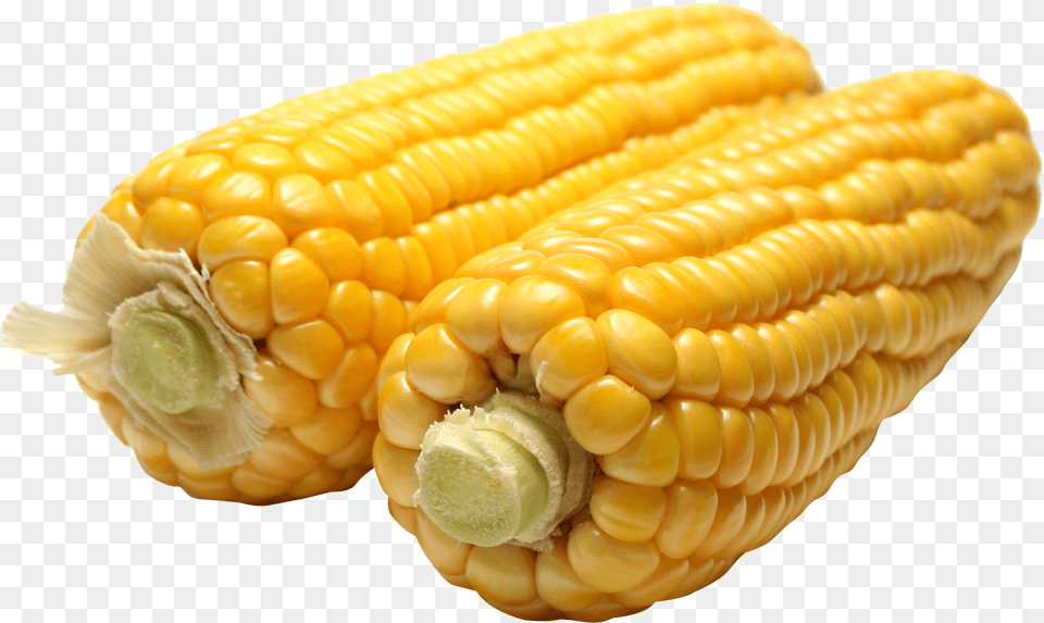 Corn Maize, Food, Grain, Plant, Produce Png Image