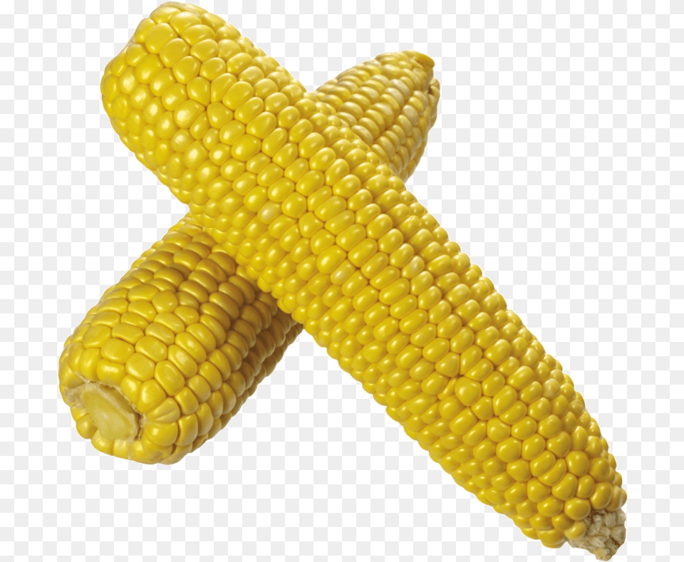 Corn Transparent Background Clipart Transparent Background Corn Clipart, Food, Grain, Plant, Produce Png Image