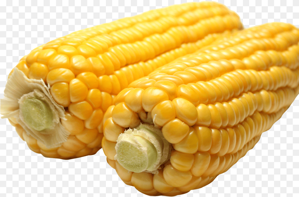 Corn Image1 Corn, Food, Grain, Plant, Produce Png Image