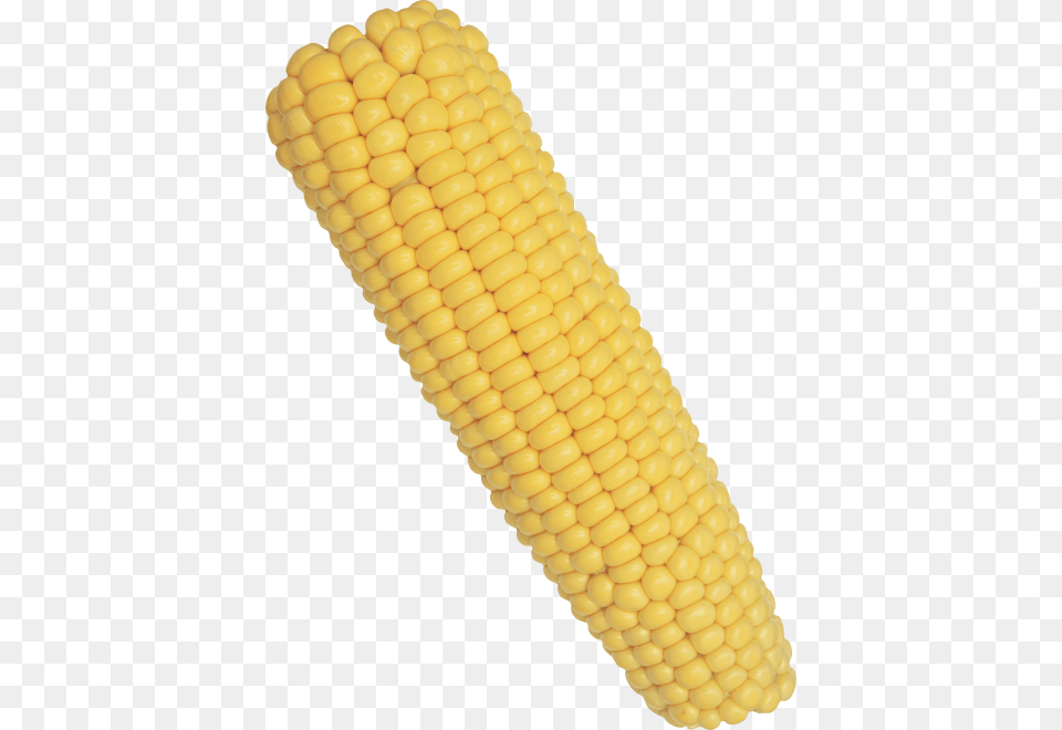Corn Images Corn On The Cob, Food, Grain, Plant, Produce Png