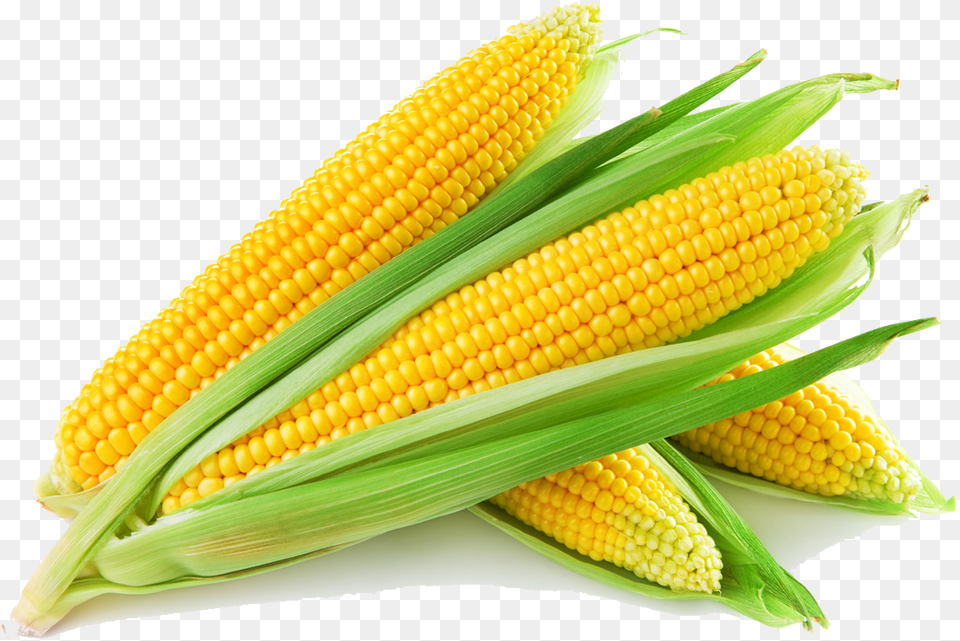 Corn Images Corn Cob, Food, Grain, Plant, Produce Free Transparent Png