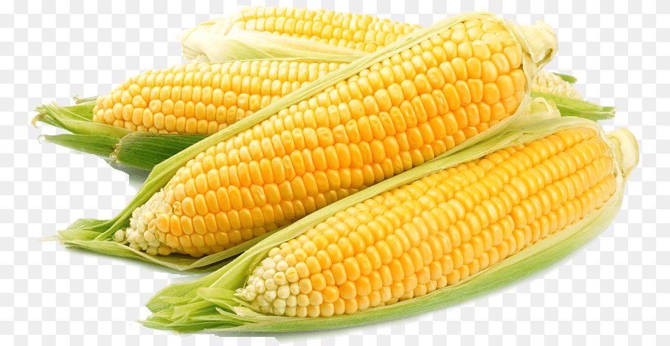 Corn Images Una Receta Que Tenga Al Maz Como Su Principal Ingrediente, Food, Grain, Plant, Produce Free Transparent Png