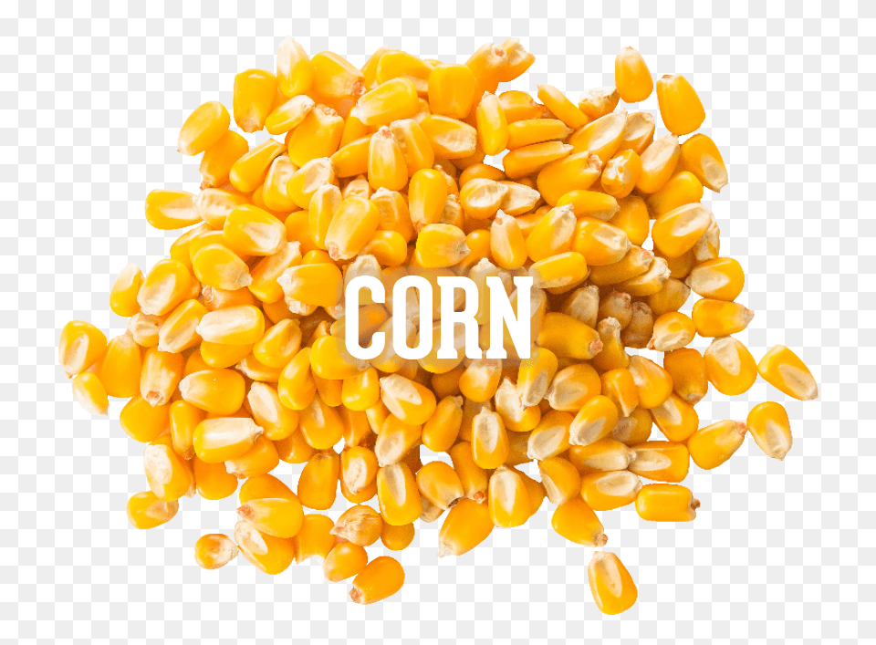 Corn Kernels, Food, Grain, Plant, Produce Png