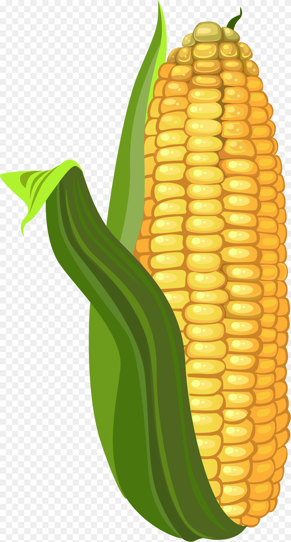 Corn Kernels, Food, Grain, Plant, Produce Png Image