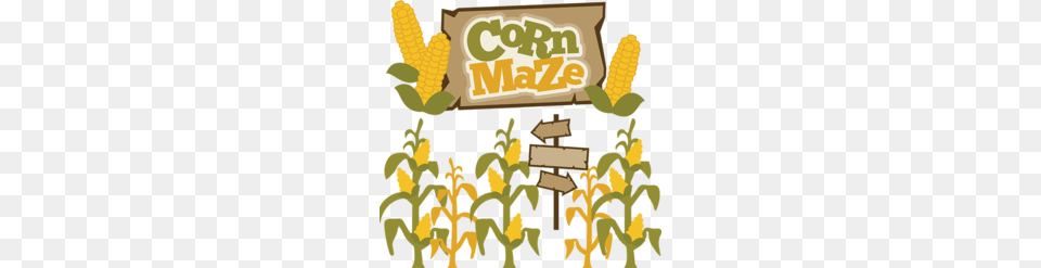 Corn Maze Clipart, Food, Grain, Plant, Produce Png
