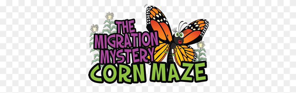 Corn Maze Migration Mystery, Purple, Animal, Butterfly, Insect Png