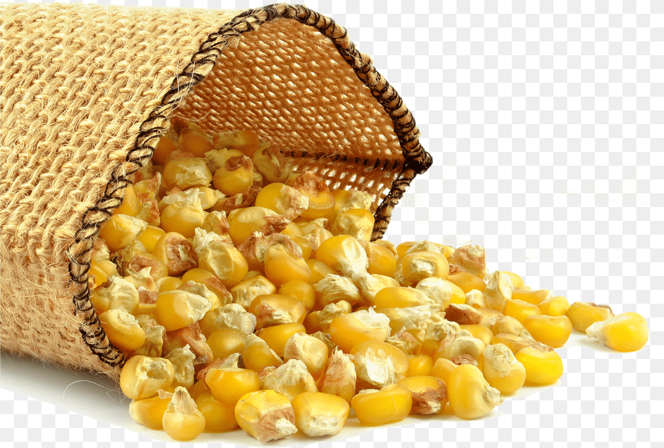 Corn Oil Png